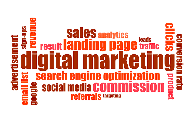 professional digital marketing services